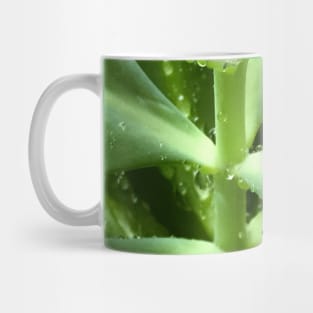 Soothing green water freshness Mug